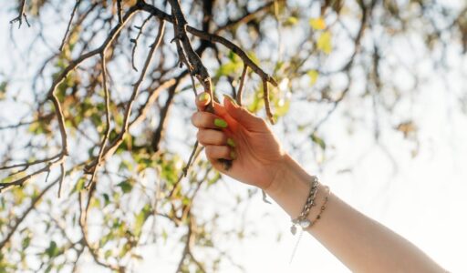 Earth-Toned Manicures: Meet This Season’s Nail Trend